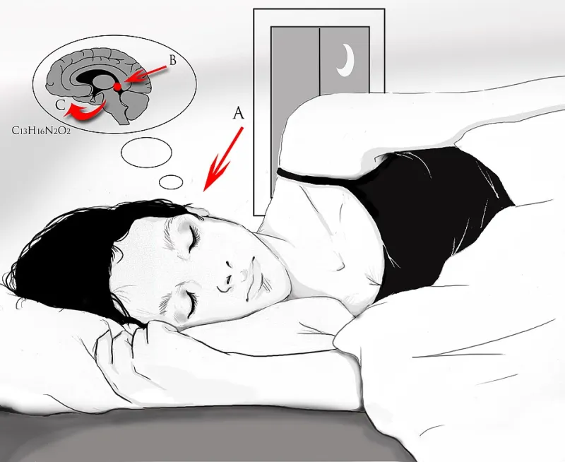Sorting Fact From Fiction: A Clinical Look at Today's Most Popular Sleep Supplements